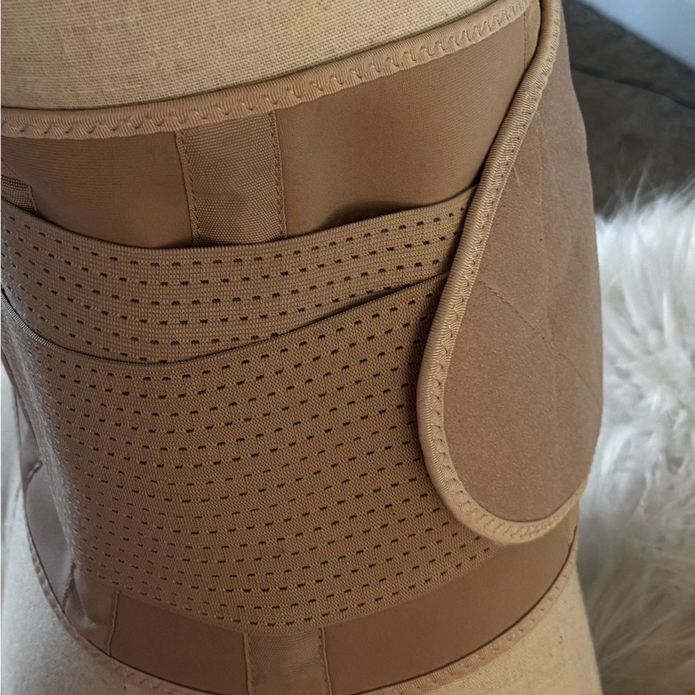 Elegant Tan Women's Belt - Picture 4 of 4